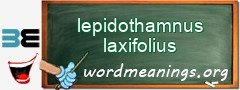 WordMeaning blackboard for lepidothamnus laxifolius